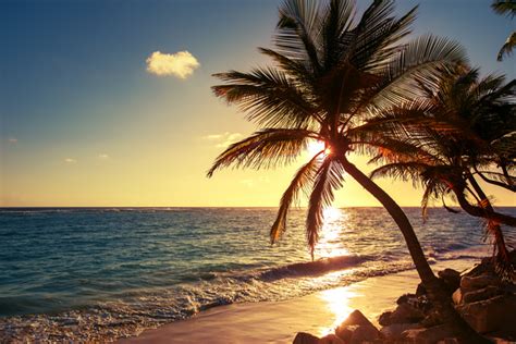 sunrise tropical island beach view hd picture