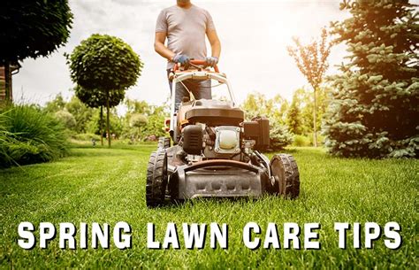 Spring Lawn Care Tips By Home Depot