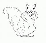 Squirrel Coloring Pages Printable Kids Print Flying Preschool Monkey Library Clipart Bestcoloringpagesforkids Fox sketch template