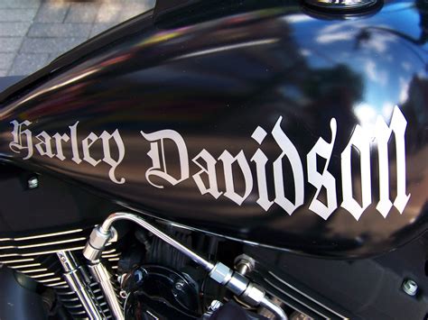 harley davidson tank logo  hd wallpaper