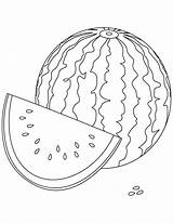 Melon Coloring Designlooter 28kb sketch template