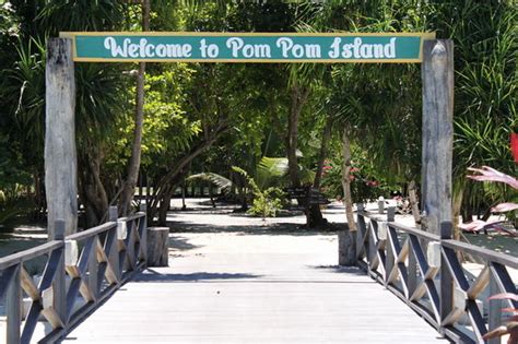 pom pom island resort spa updated  hotel reviews price