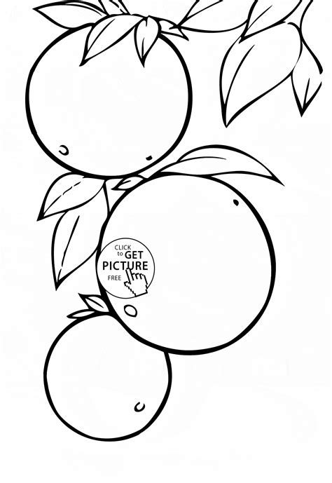 pin  fruits coloring pages