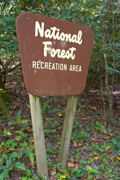 national forest sign stock image image  hiking hiker
