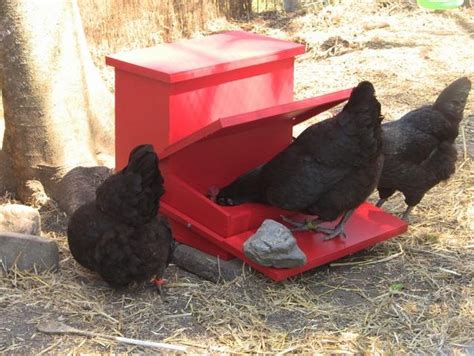 minimize feed waste  building  treadle chicken feeder   chooks  projectsatobn