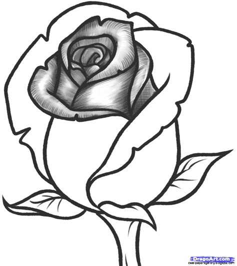easy pictures  roses  draw wallpapers gallery
