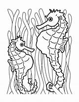 Seahorse Seepferdchen Konik Morski Kolorowanki Ausmalbild Pesci Cavallucci Marini Simplicity Wydruku Bestcoloringpagesforkids sketch template