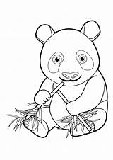 Pandas Coloriages Dessiner Asie Encequiconcerne Roux Partage Imprime Télécharge Greatestcoloringbook Gulli sketch template