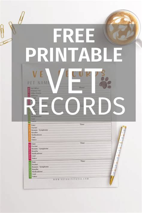 printable pet vet records chart pet health record