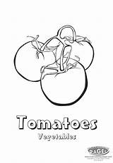 Tomato Coloring Getdrawings Tomatoes Getcolorings sketch template