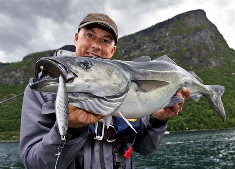 angeln  romsdalsfjord norwegens fischreiches angelparadies blinker