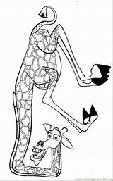 Madagascar Melman Coloring Pages Giraffe Printable Drawing Cartoons Cartoon Gloria Alex Drawings Marty Hippopotamus Crafts Easy Categories Comments Silhouettes sketch template