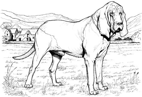 baby dogs coloring pages coloring home
