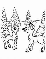 Reindeer Coloring Pages Printable Kids sketch template