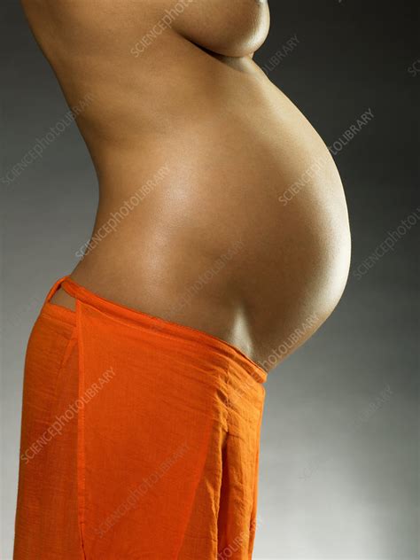 eight month pregnant woman stock image m805 0885 science photo