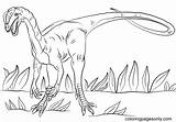 Dilophosaurus Kolorowanki Dilofossauro Dinosaurs Genial Dino Supercoloring Dinozaury Kolorowanka Dinosaurios Druku Malvorlagen Velociraptor Dinossauros sketch template