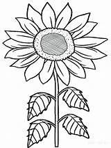 Sunflower Coloring Pages Adults Sunflowers Flower Color Printable Getcolorings Print sketch template