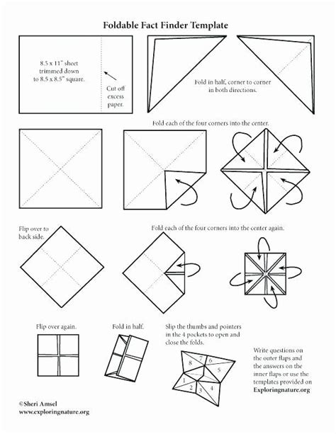 sided dice template    sided dice printable dice