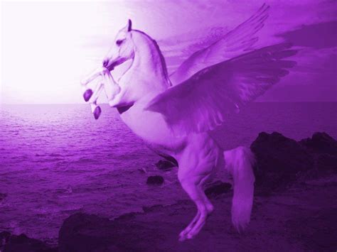 pegasus google search magical pictures pegasus purple