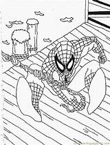 Spiderman Kleurplaten Superhelden Coloriages Animaatjes Kolorowanki Kolorowanka sketch template