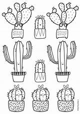 Colorare Cactus Illustrazioni Piantine Botaniche Casafacile sketch template