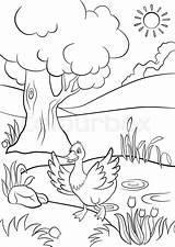 Ecosystem Coloring Pages Pond Duck Getdrawings Drawing Getcolorings Color sketch template