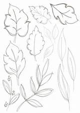 Leaf Drawing Drawings Simple Flower Draw Sketch Tree Floral Board Harunmudak Leafy Nature Visit Choose sketch template
