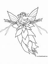 Coloring Fairy Pages Christmas Poinsettia Colouring Kids Fairies Pheemcfaddell Adults Sheets Crafts Adult Print Clipart Books Princess Library Patterns Elf sketch template