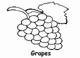 Grape Grapes Coloring Clipart Pages Outline Drawing Raisins Fruits Draw Printable Bunch Color Cliparts Print Library June Clipartbest Preschool Getcolorings sketch template