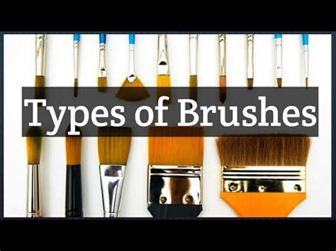 types  pain brushes  thier  youtube