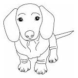Dog Wiener Draw Baby sketch template
