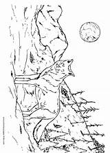 Howling Getdrawings Moon Wolves Coloringtop sketch template