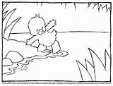 Foot Pond Little Quack Dipping Puddle Coloring Pages Tentatively Book His sketch template