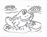 Frog Coloring Pages Frogs Cute Para Color Kermit Print Colorear Lily Drawing Cartoon Ranitas Dibujos Getdrawings Book Ranas Bmp Getcolorings sketch template