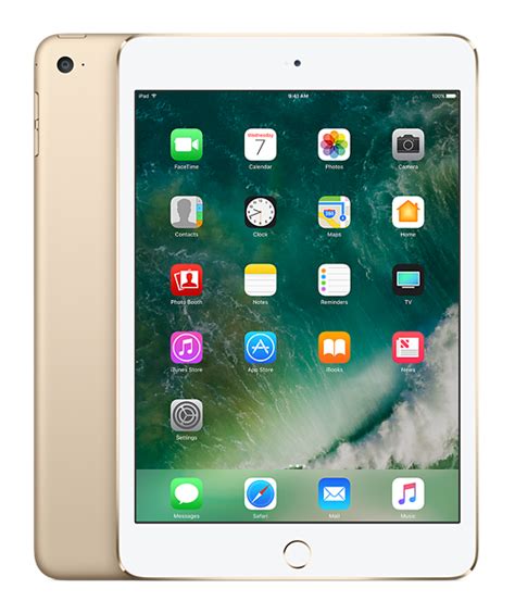 ipad mini gold ipads  education