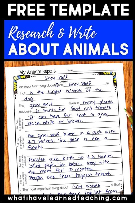 teach students  write animal reports  template