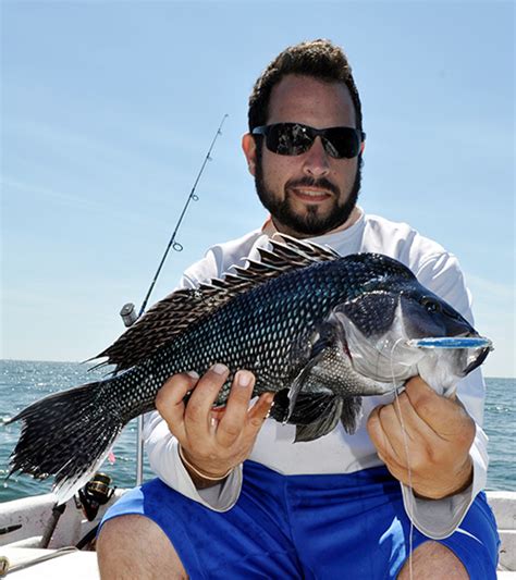 Black Sea Bass On The Water
