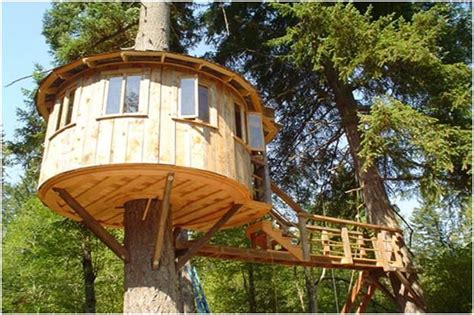 simple treehouse natural living pinterest pictures   tree  workshop