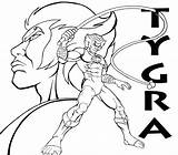 Thundercats Coloring Pages Tygra Thundercat Drawing Getcolorings Printable Getdrawings Color Print Deviantart sketch template