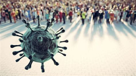 understanding pandemics  epidemics persurvive