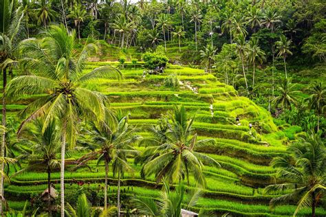 travel guide  bali   beaches