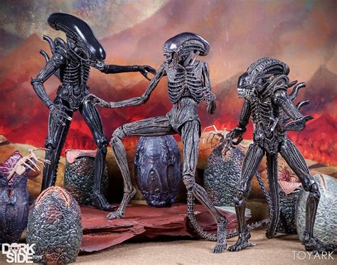 neca alien covenant toyark gallery toy discussion  toyarkcom