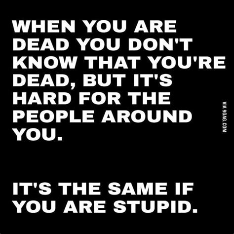 being dead is like being stupid funny quotes you re dead stupid people