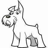 Schnauzer Coloring Miniature Drawing Dog Pages Dibujos Print Ear Perro Outline Snauzer Has Silueta Schnauzers Getcolorings Perros Caricatura Line Dibujo sketch template
