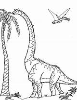 Sauroposeidon Coloring Ornithocheirus Patagotitan Dinosaur Pages Dinosaurs Biggest Robin Great sketch template