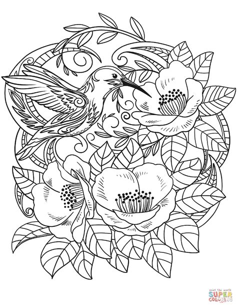 hummingbird  flowers coloring page  printable coloring pages