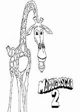 Madagascar Melman Colorear Dibujosparacolorear sketch template