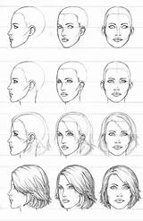 Face Drawing Female Pro Drawings Draw Girl Sketch Hair Sketches Short Front Frontal Tutorial Di Step Woman Head Human Angles sketch template