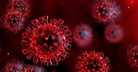 coronavirus update  wlms response