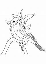 Bluebird Humming Kolibri Ausmalbilder Stick Outline Dxf Eps sketch template